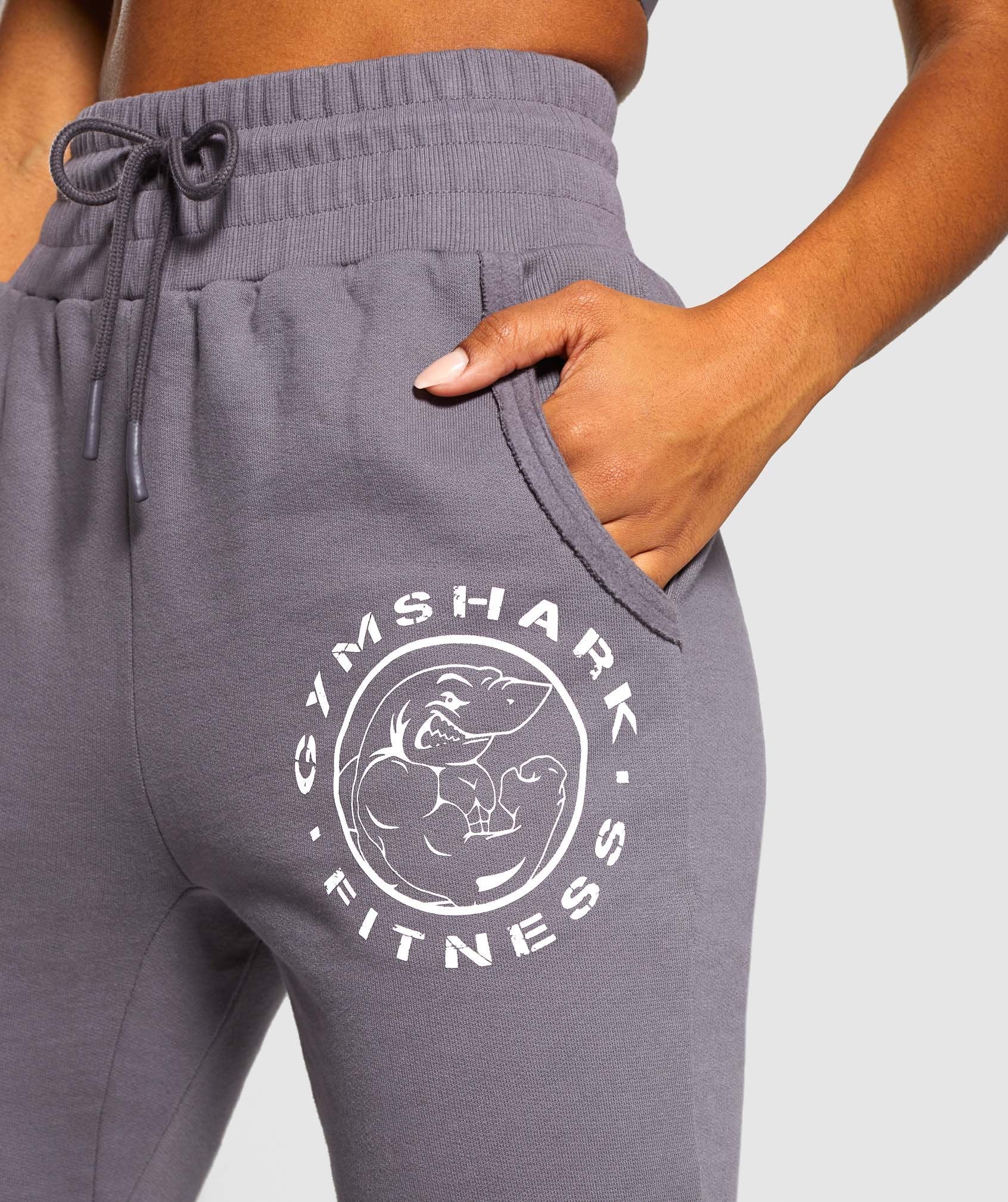 Legacy Fitness Joggers in Slate Lavender - view 5