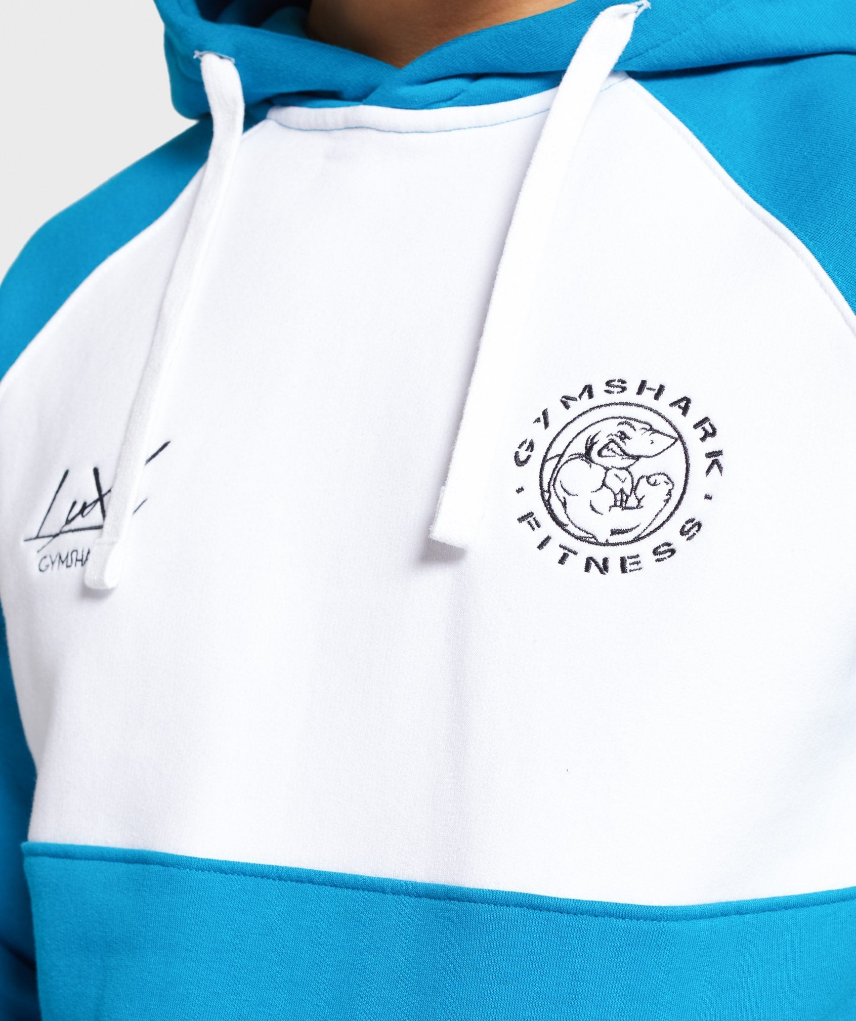 Luxe Legacy Hoodie in Light Blue