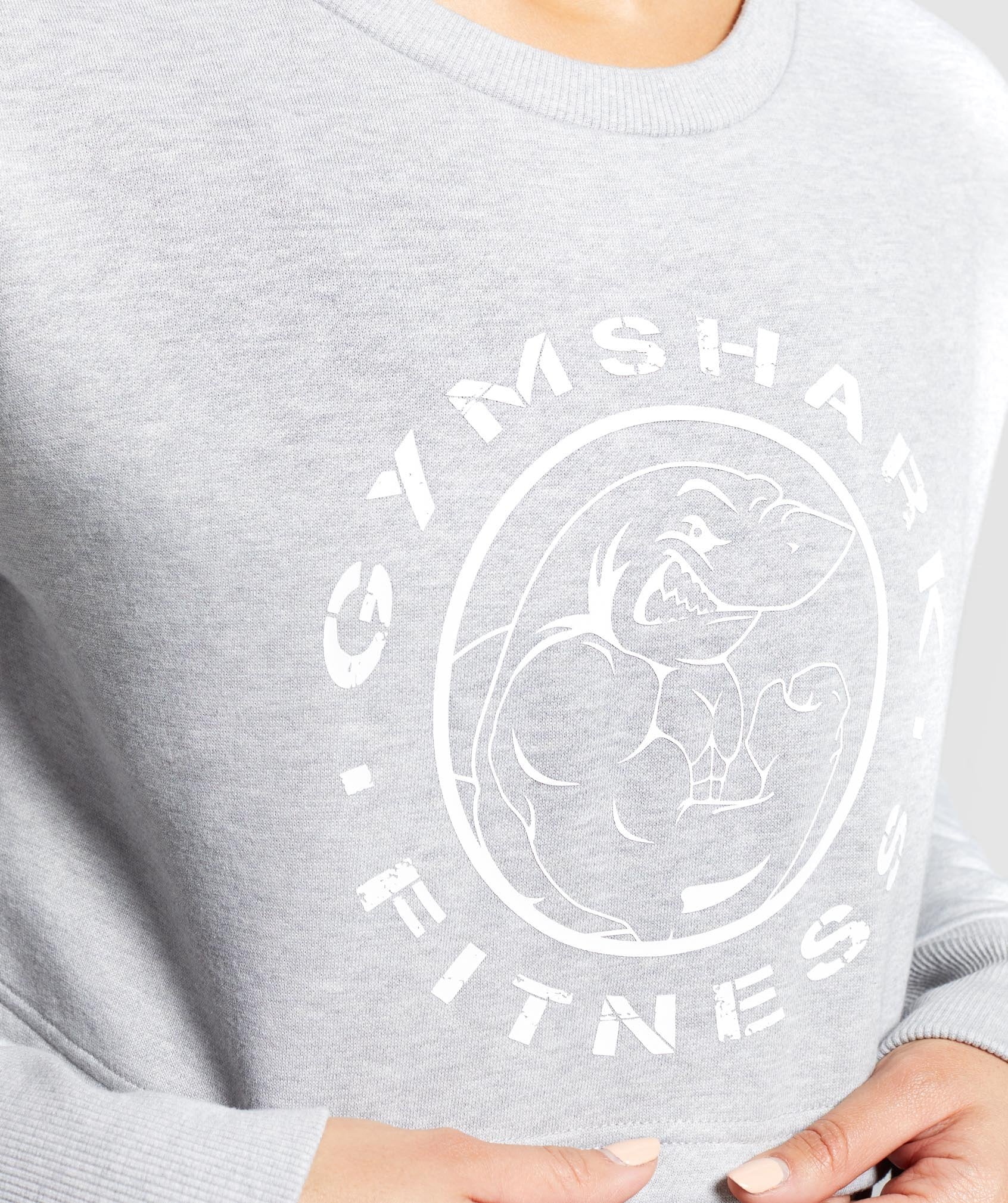 Legacy Fitness Sweater in Light Grey Marl - view 6