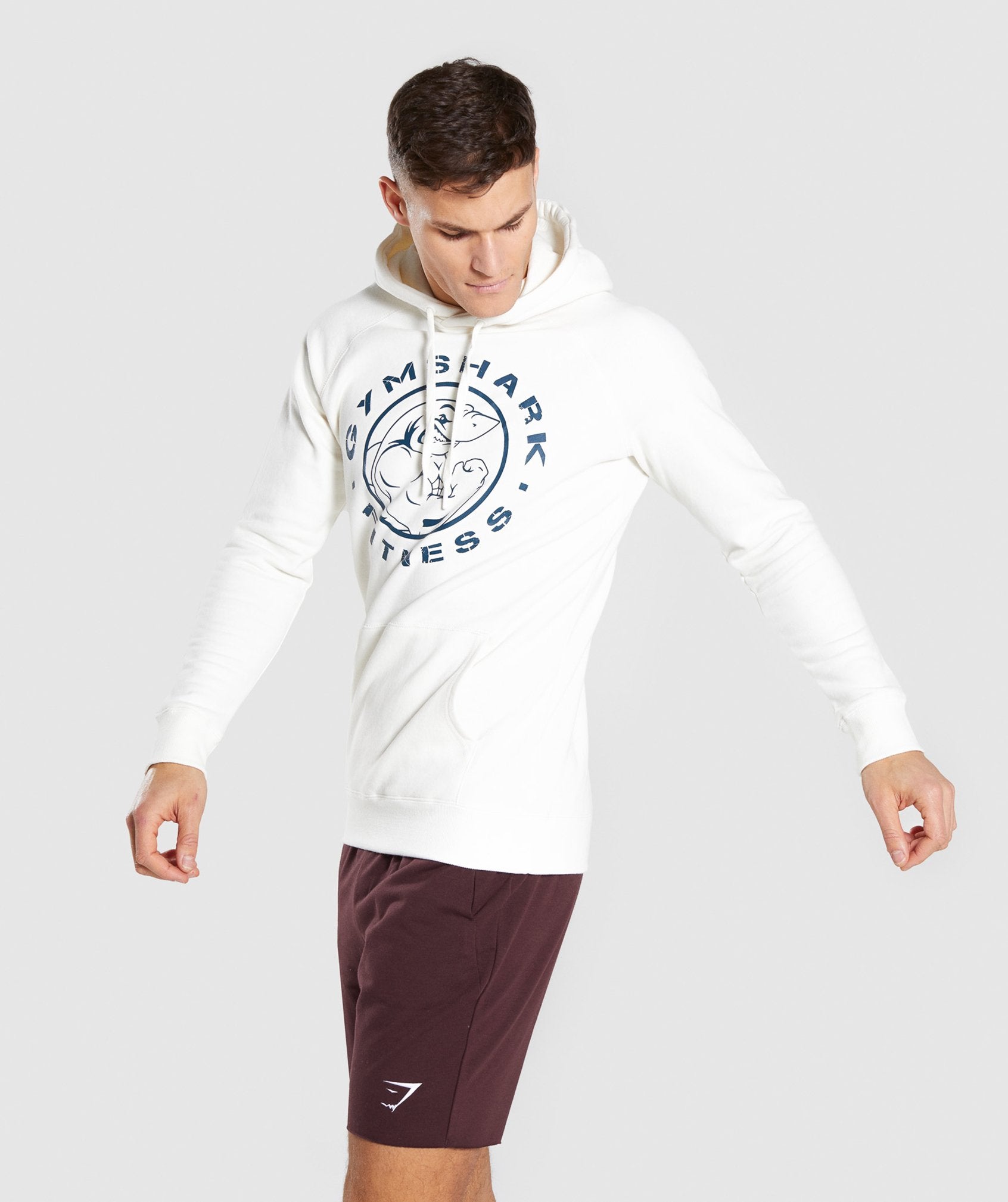 Legacy Hoodie in Chalk White - view 3