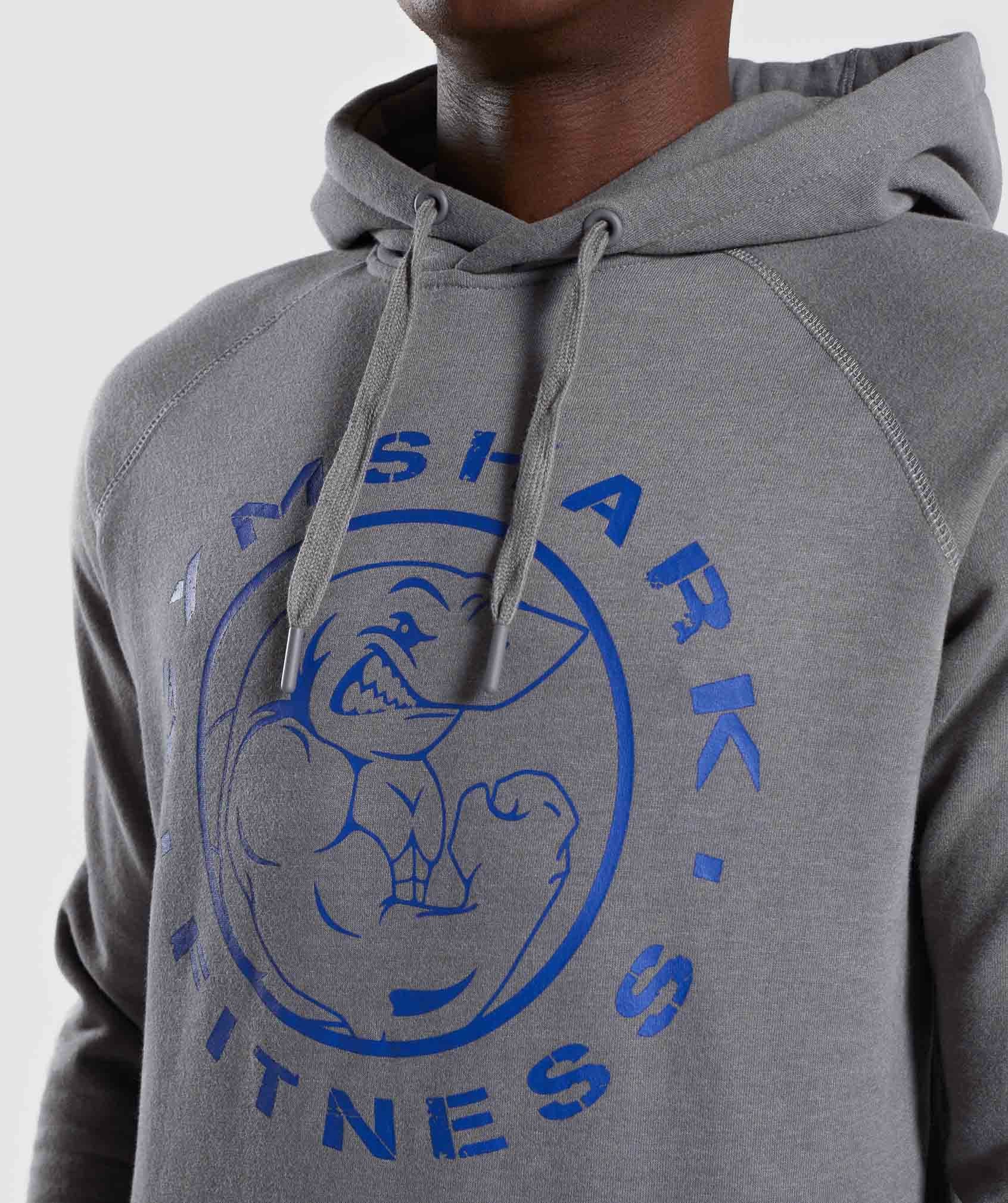 Legacy Hoodie in Grey/Blue - view 5