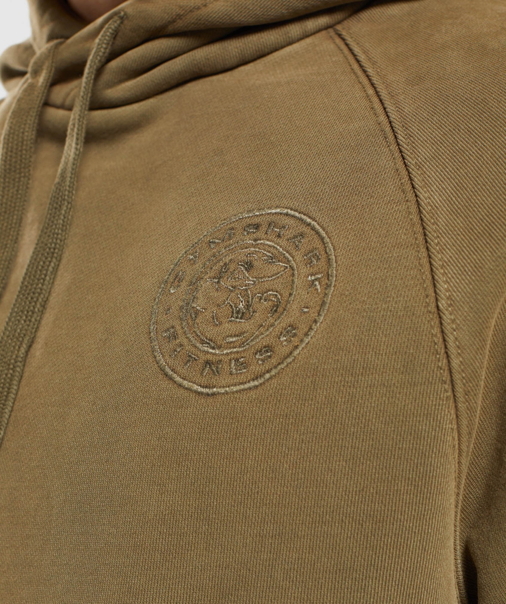 Premium Legacy Hoodie in Khaki - view 6