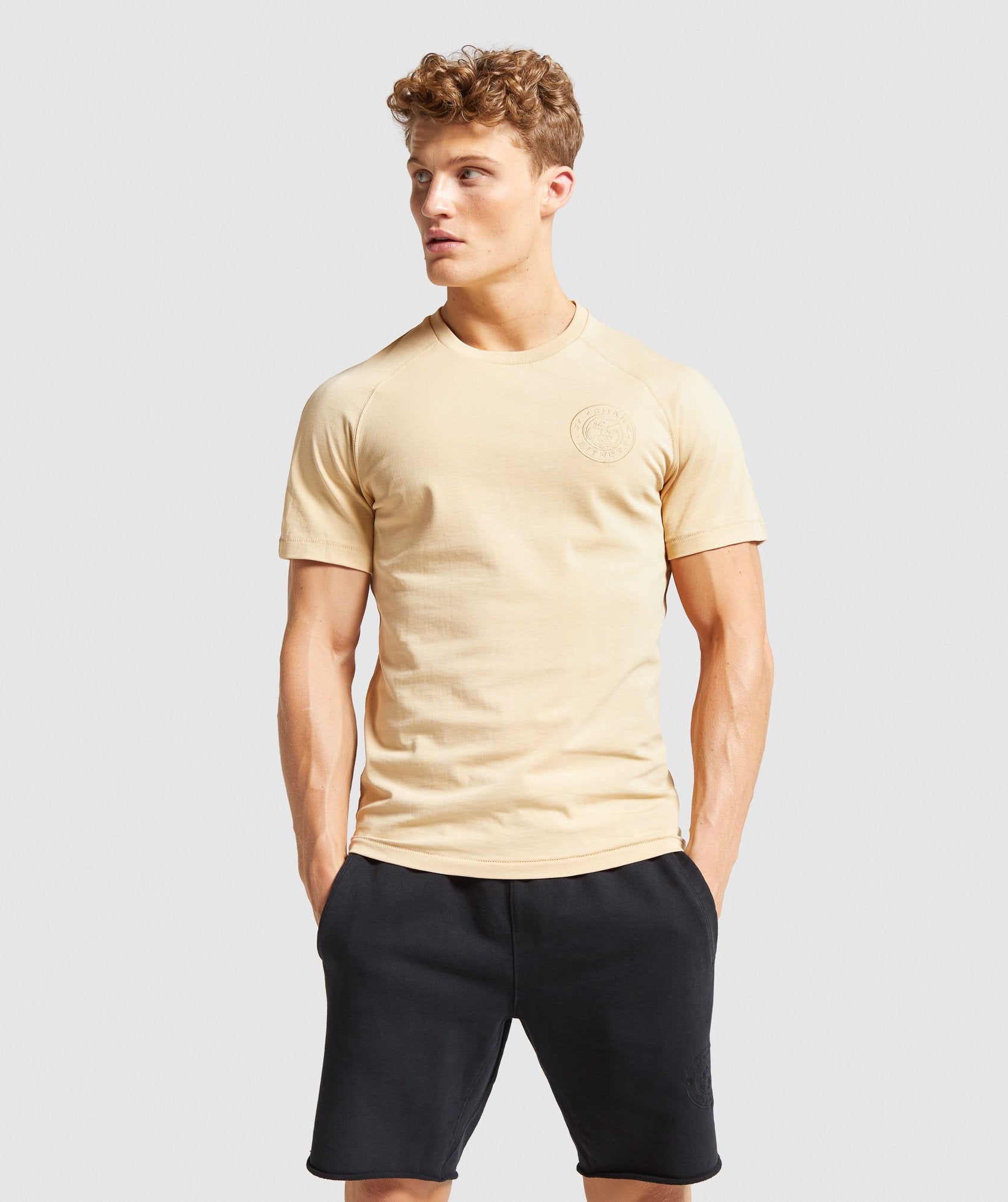 Premium Legacy T-Shirt in Beige - view 1