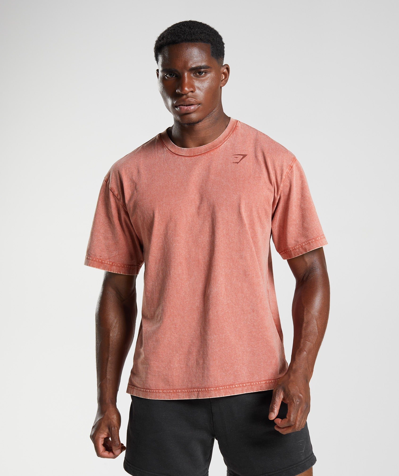 Power Washed T-Shirt in Rose Brown - view 2