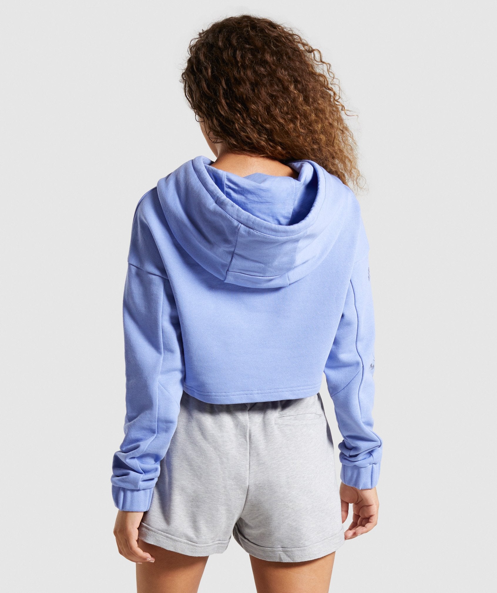 Roots Hoodie in Light Blue - view 2