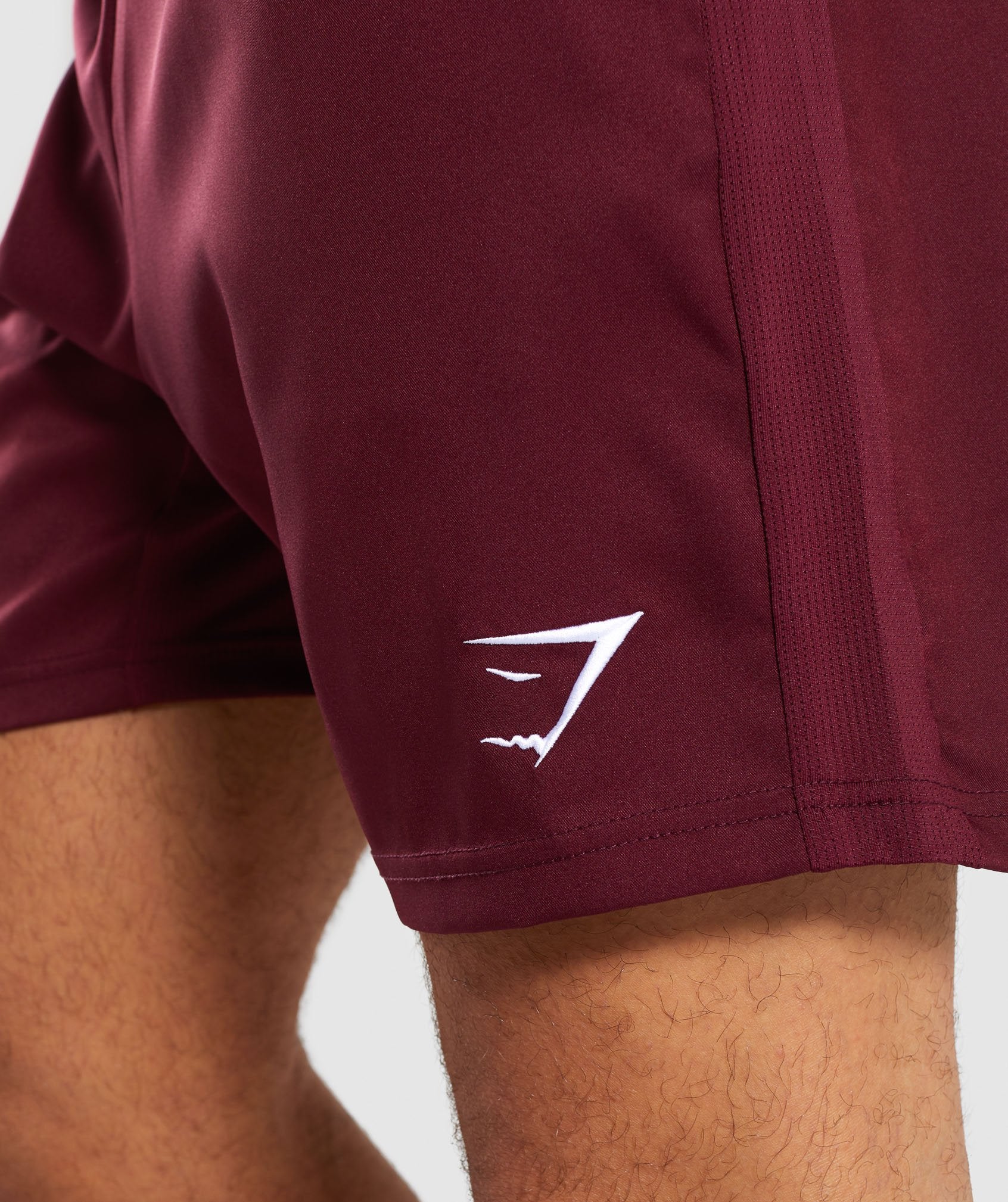 Sport Shorts in Port - view 6