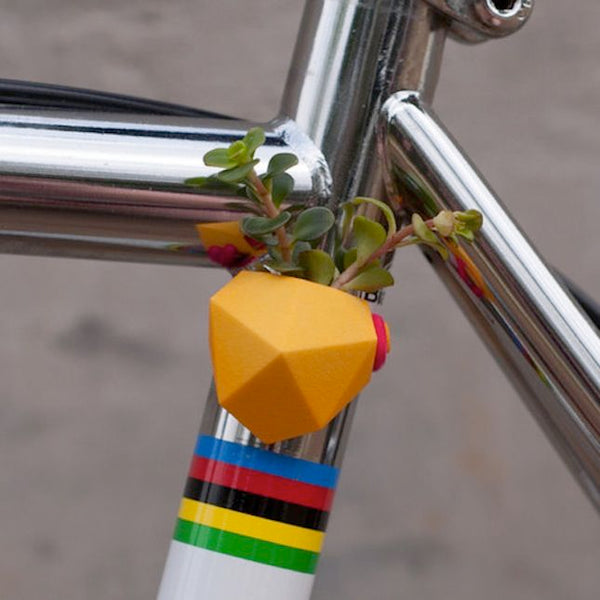Miniature garden on a bicycle