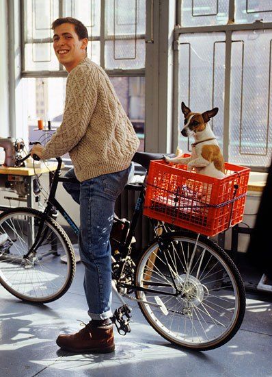 dog in milk crate