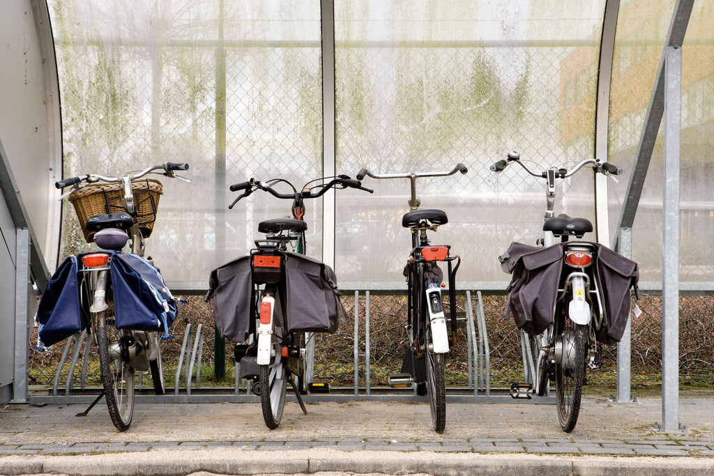 side saddle bikes