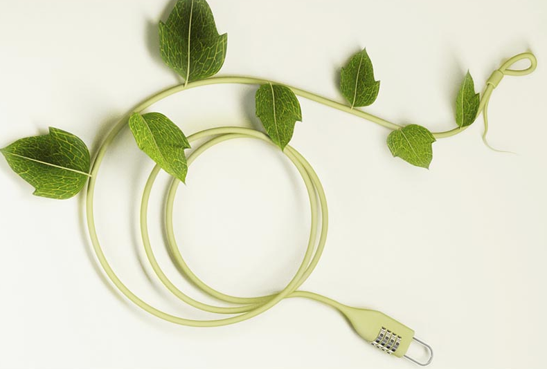 bike lock ivy by mooki noodle