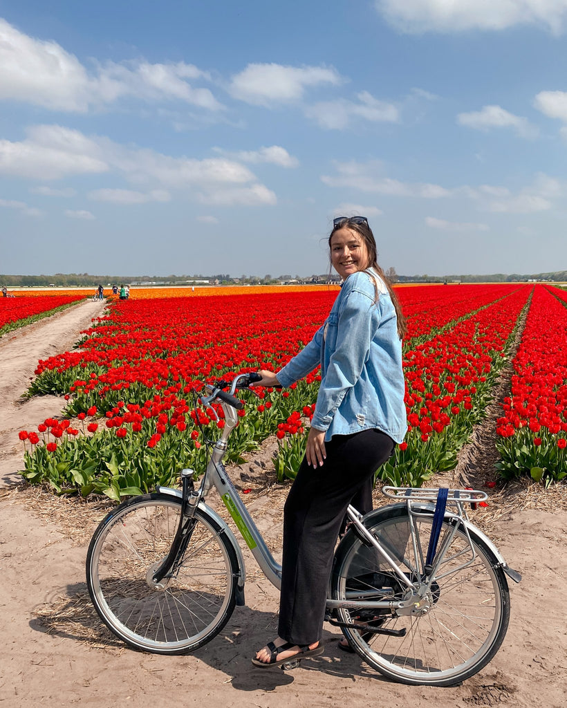 Riding bike in holland near red tulips