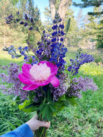 bouquet of flowers