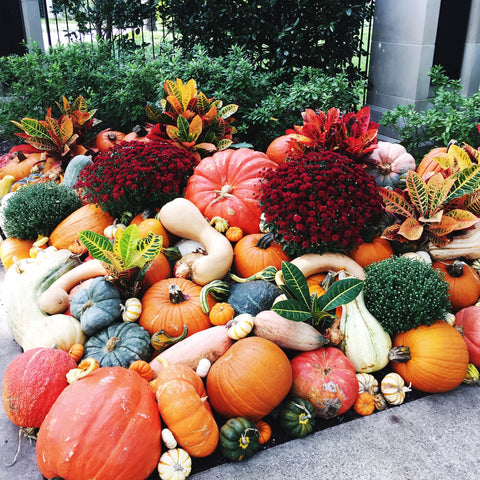 mass of pumpkins and squash