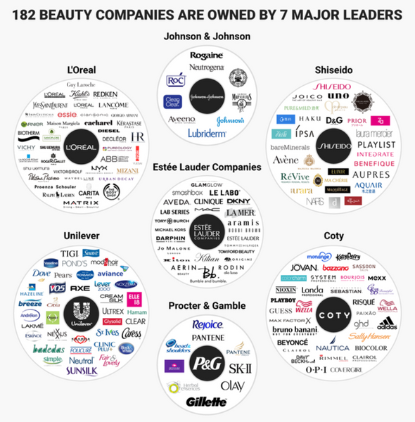 Graph showing the 7 major companies that own over 180 beauty brands on the market