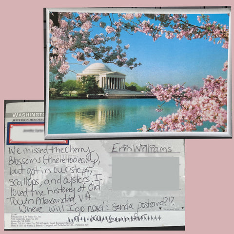 postcard from jennifer to erin of washington dc cherry blossoms