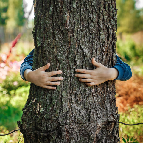 child's hands hugging a tree trunk