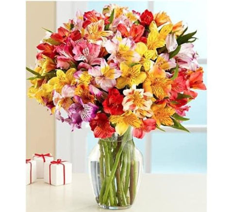 Multicolored Alstroemeria Bouquet