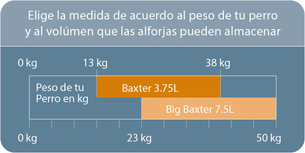 Tabla de Medidas Baxter Bag