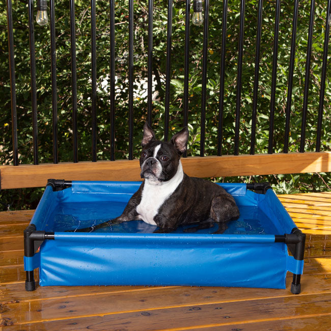 Alberca para Perros: Resistente para Refrescar a tu Mascota en Verano — La  Tienda de Frida & Chelsee