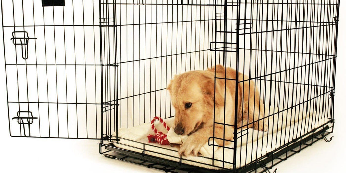 expedido Becks experimental Jaulas para Perros Para Entrenamiento de Perros - Dog Crate — La Tienda de  Frida & Chelsee