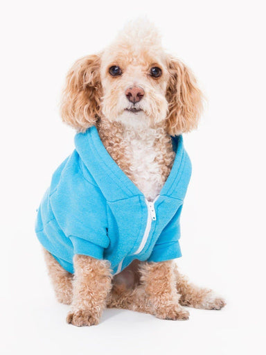 Calcetines antideslizantes perro con borla AZUL BEBE