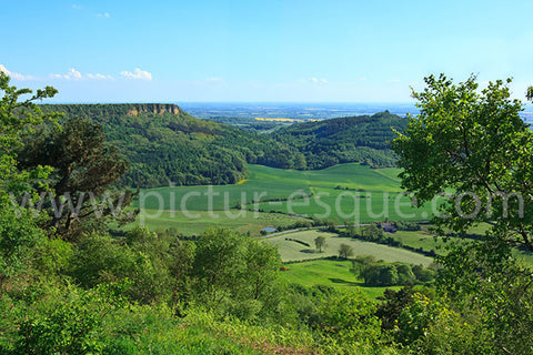 View from Sutton Bank North Yorkshire by Charlotte Gale