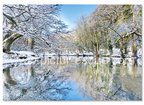 Frozen River in Winter Christmas Card