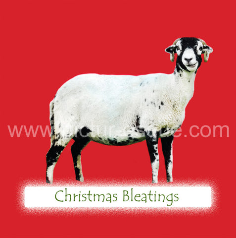 Christmas Bleatings Yorkshire Christmas card