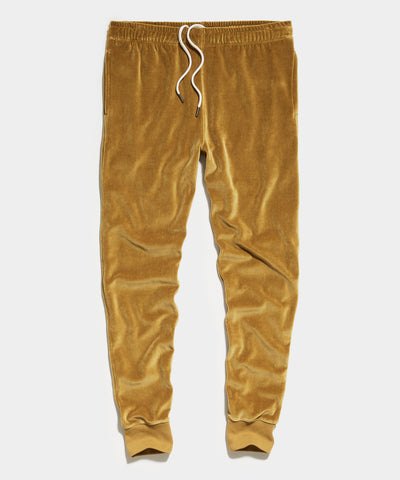 todd snyder velour sweatpants