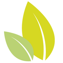 Leaves-2.png__PID:5fdcb58f-fba5-4681-adda-04d6ff11a450