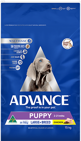 advance puppy large breed