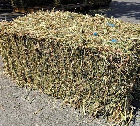 square hay bales for sale near me