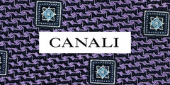 Canali Designer Ties 2024