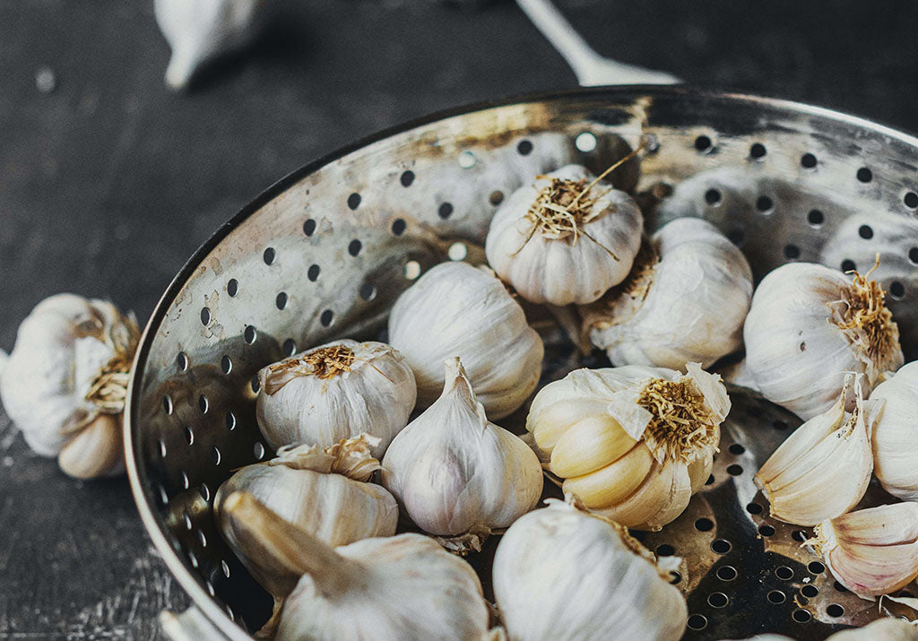 Garlic: Is It Safe For Your Dog To Eat?