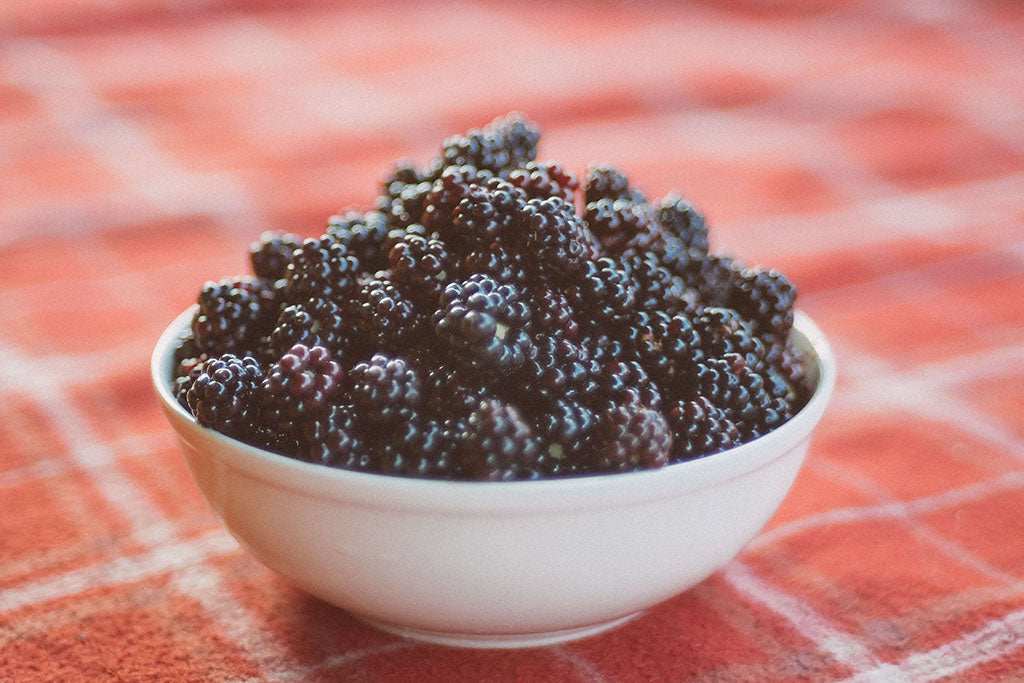 Can Dogs Have Blackberries?