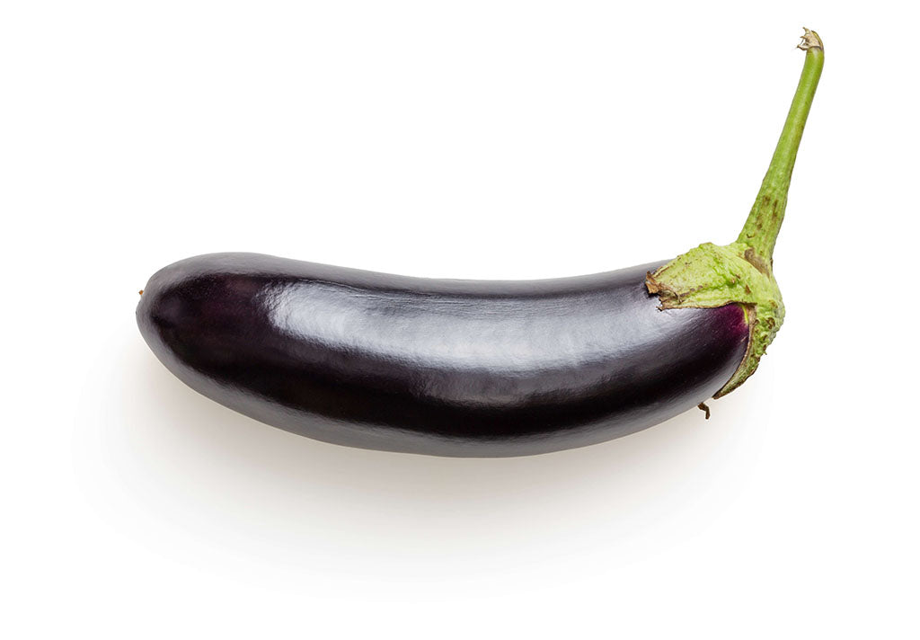 can you feed your dog raw eggplant