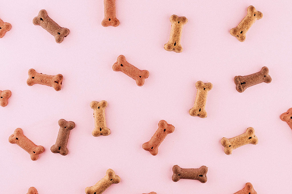 Pink, brown and cream frozen dog treats are spread out on a light pink background