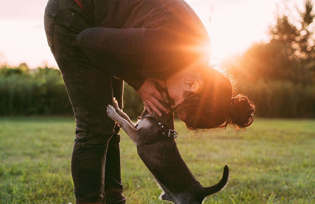 Does My Dog Love Me? 10 Ways Your Dog Is Telling You They Love You