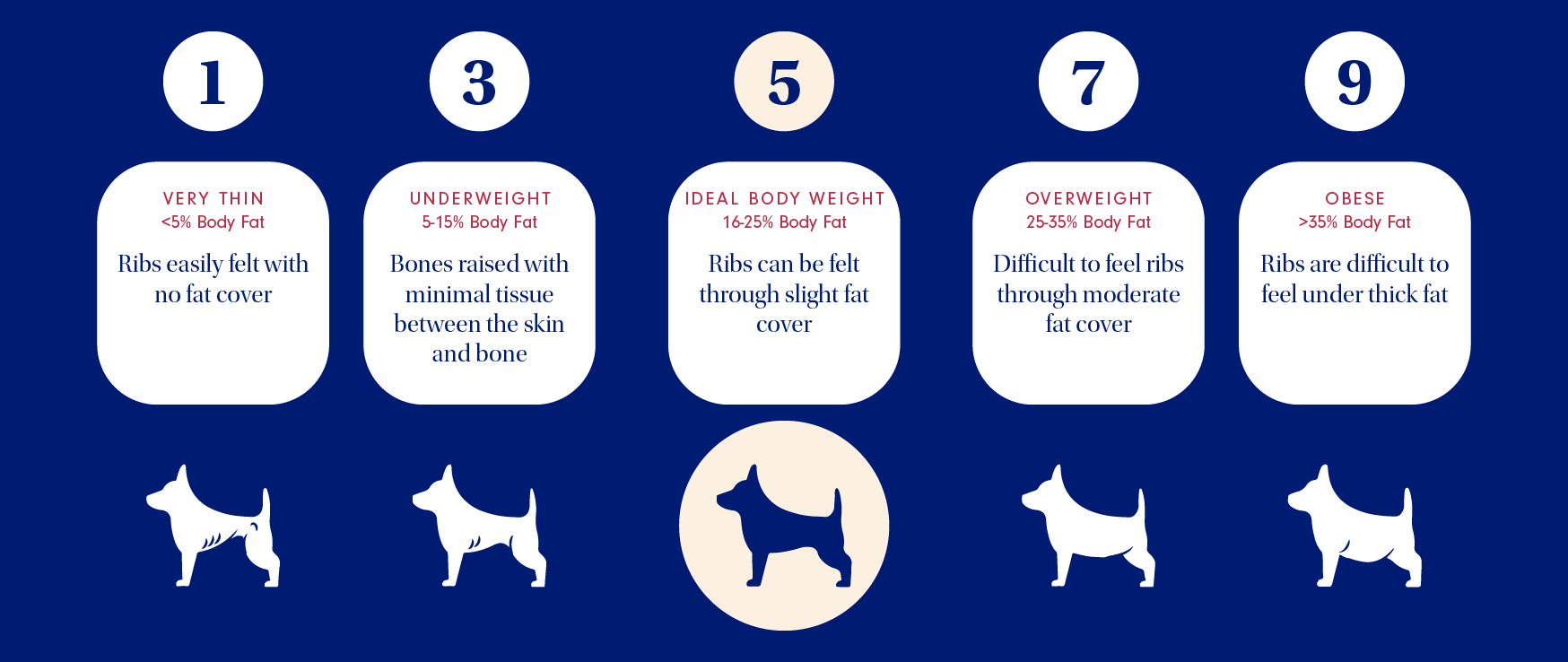 a blue, white and red infographic detailing how to tell if a dog is over or underweight