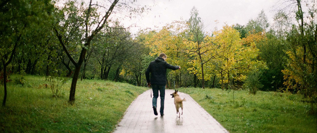 A person wearing dark clothes and a hooded coat walks alongside a medium-sized, tan-colored dog, with autumnal trees and thick green grass on either side of a winding path. 
