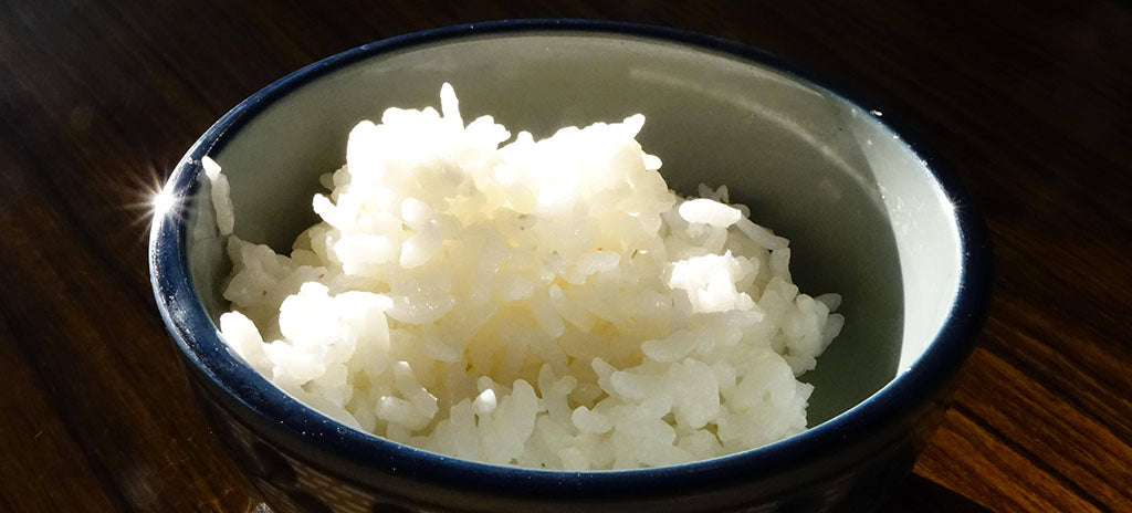 A mound of cooked white rice sits in a small blue and white ceramic bowl 