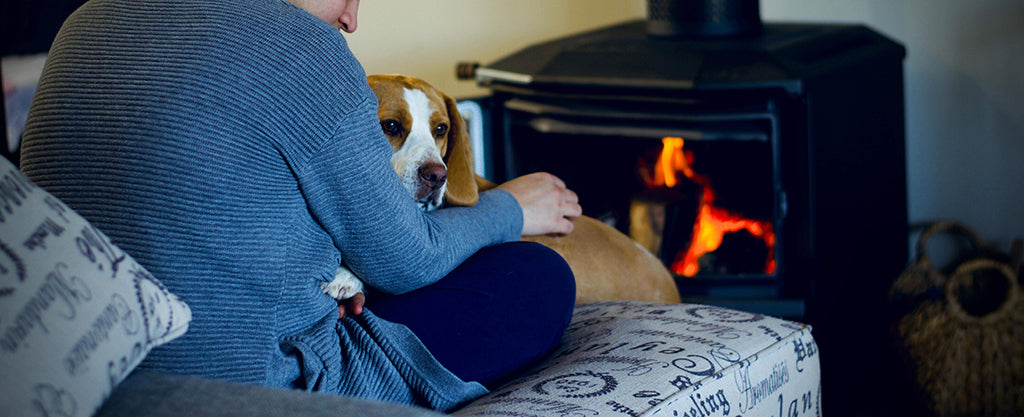 a white male wearing a blue top sits on a grey sofa, hugs a brown and white beagle-mixed dog in front of a black fire stone