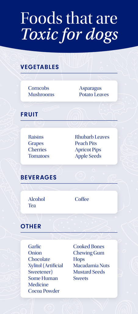 a blue and white infographic detailing which foods are toxic for dogs to eat