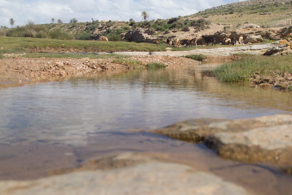 Essaouira Province Discovery