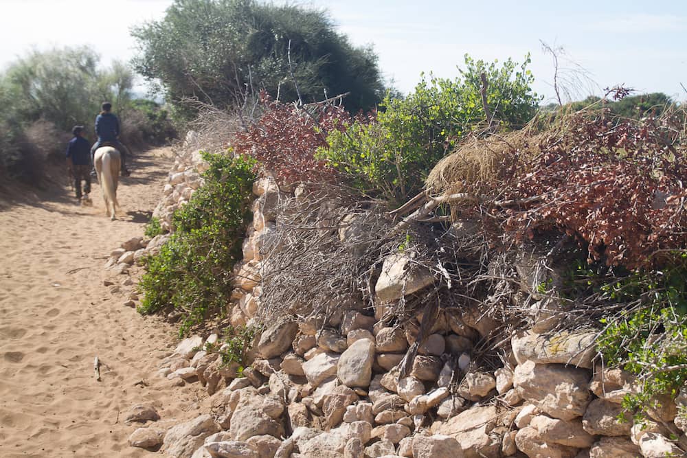 Essaouira Province