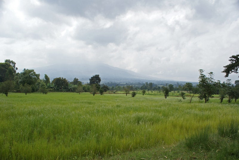 Ethiopia landscape