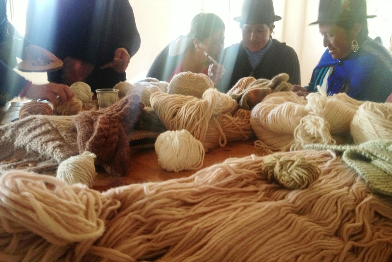 Natural Dyeing of Alpaca Wool: The Powerful Colours of Nature