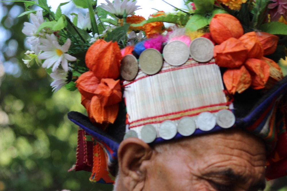 ladakh flower ornament india 