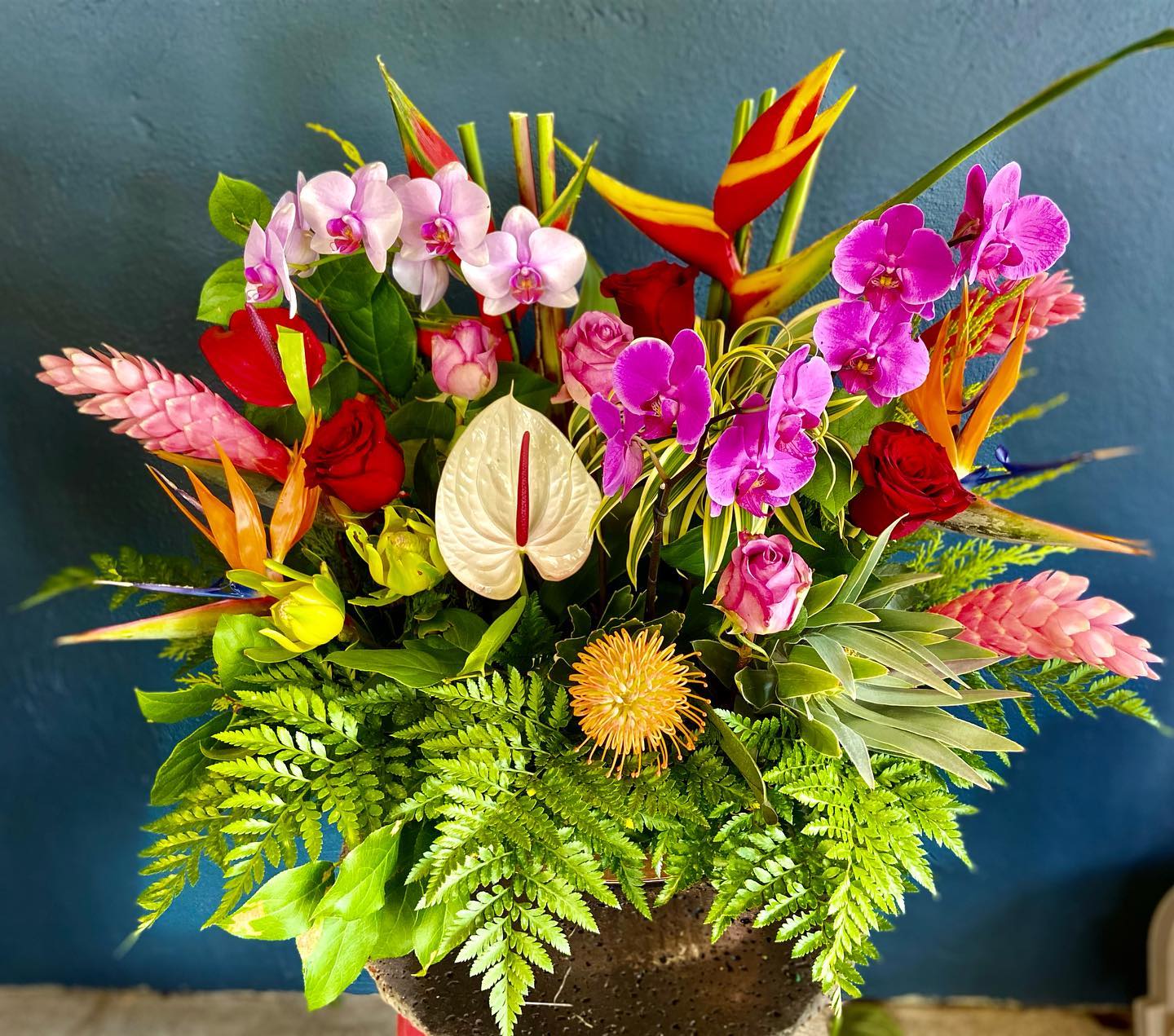 Aliʻi nui ~ Live Orchid Plant Arrangement – Pukalani Floral
