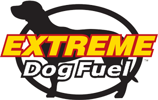 Extreme Dog Fuel